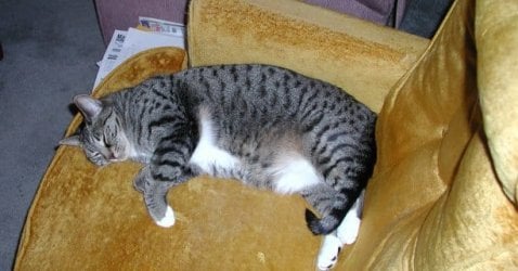 StormyChair.jpg StormyChair.jpg