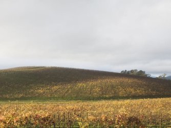 800px-bliss_location.jpg