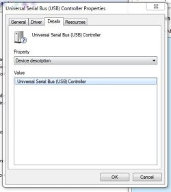 details tab.JPG