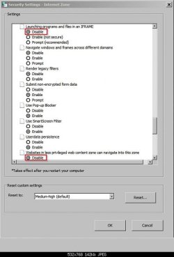 Security Settings - Internet Zone.jpg