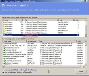 Svchost Process Analyzer 2.jpg