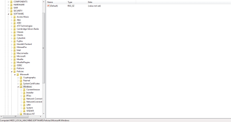 Regedit Capture 1.PNG