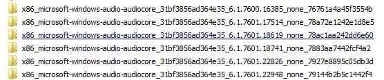 Audiodg (6 folders-same inside).JPG