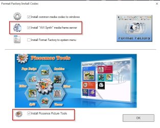 Format Factory Install Options.jpg