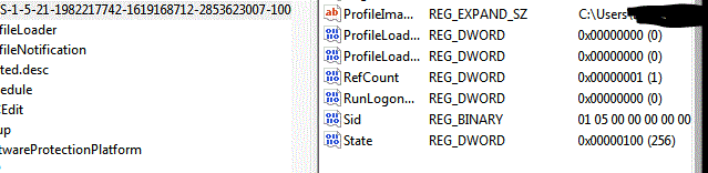Capture correct registry in safe mode.GIF