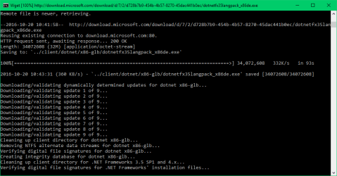 Dos window WSUS 2.png Dos window WSUS 2.png