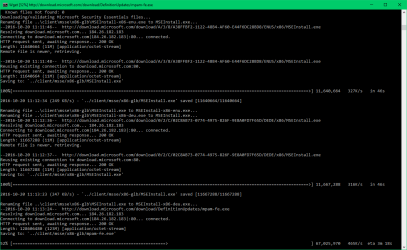 Dos window WSUS 3.png Dos window WSUS 3.png
