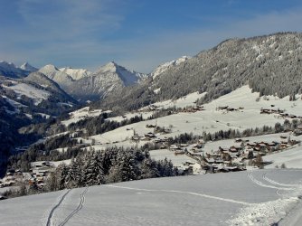 today new snow DSC05976 (2).jpg