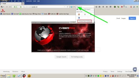 Cyberfox 47.jpg Cyberfox 47.jpg