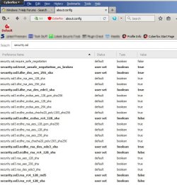 about_config - Cyberfox.jpg