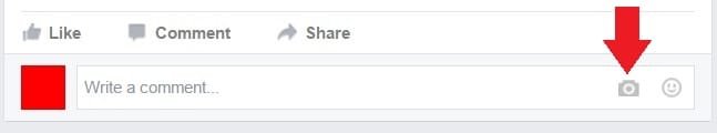 FB1.jpg