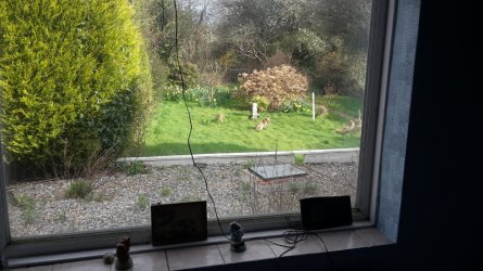 20160407_091336.jpg