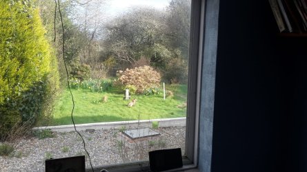 20160407_091339.jpg
