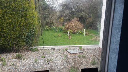 20160407_092237.jpg