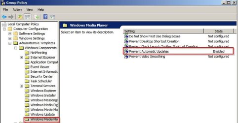 WMP Updates 2.jpg