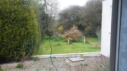 20160411_123803.jpg