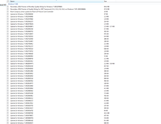 Final Optional Updates.PNG