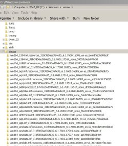 AMD64.JPG