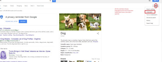 DOG.PNG