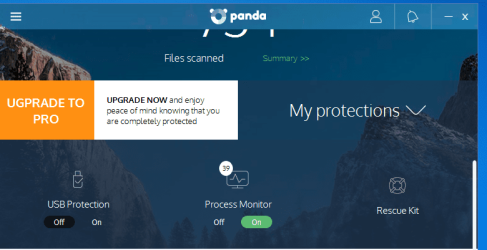 Panda 5.PNG