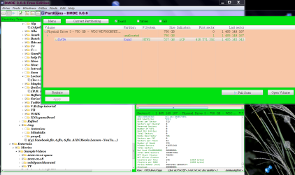 DMDE 3.0.6..PNG