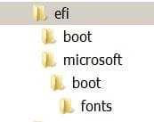 EFI.JPG