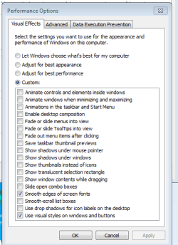 Performance options.PNG