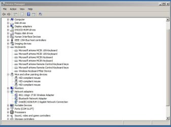 screen shot Mouse Keyboard.jpg