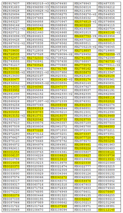 Noof64-2 file list.png