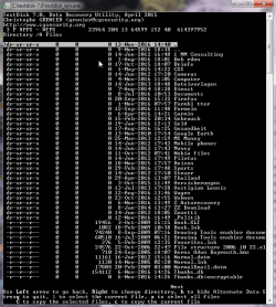 TD - Partition - Directory folders 02.png