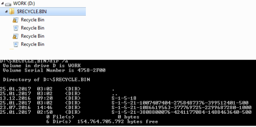 Multiple D-$RECYCLE.BIN folders.png