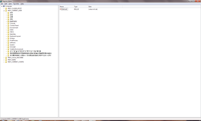 Registry.PNG