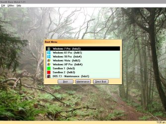 BIBM-menu-polipoli.jpg