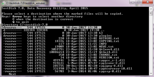 TD - Directory testdisk 7.0.png