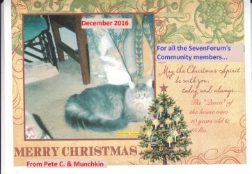 MUJNCHKIN - CHRISTMAS 2016 cardSF.jpg