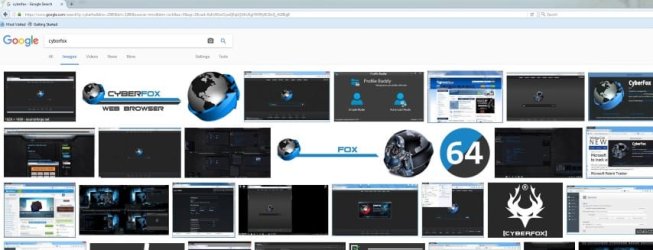 Cyberfox-02.JPG