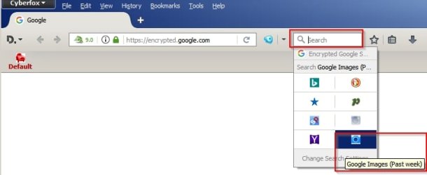 Cyberfox Search Engines.jpg