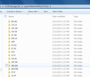 Language Packs.png