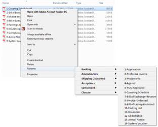 File Renaming.PNG
