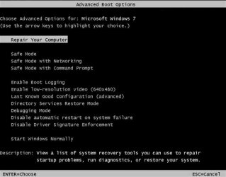 Win7_F8.png