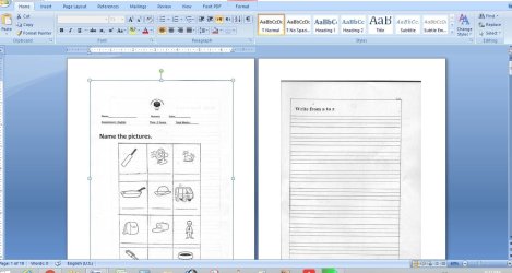 ms word.JPG