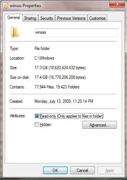 WINSXS folder.jpg
