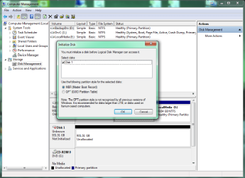Disk1 Info.png