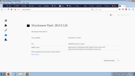 Shockwave Flash automatic updates not showing.png