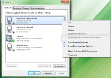 BT headset recognized but disconnected.png