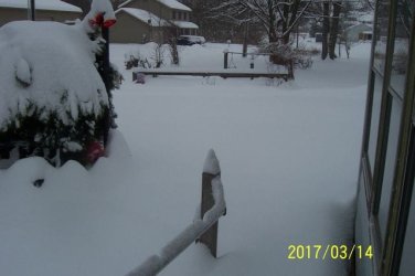 20170314Snow.JPG 20170314Snow.JPG