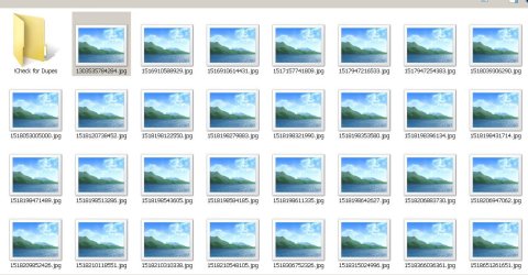 files.JPG