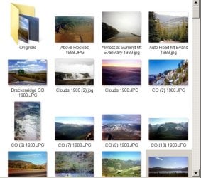 icon photos back.JPG