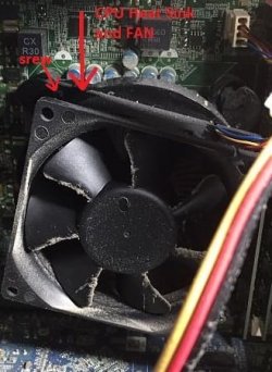 fan.jpg