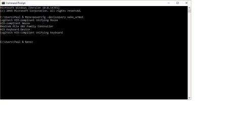 Wake_computer_screenshot.jpg Wake_computer_screenshot.jpg